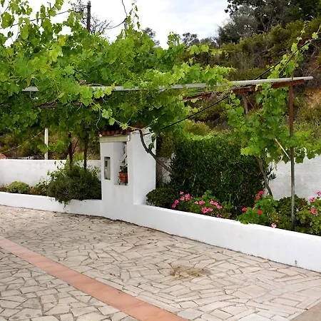 Country Near بيت للعطل
