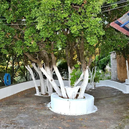 Country Near بيت للعطل